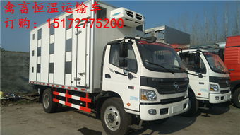 弘力專用汽車 散裝飼料車與生豬運輸車行業(yè)新動態(tài)解析